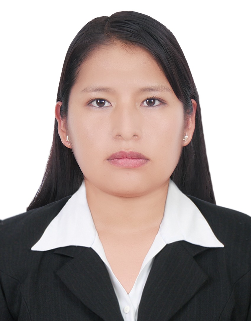 SULLCA HUAYLLA DINA RUTH